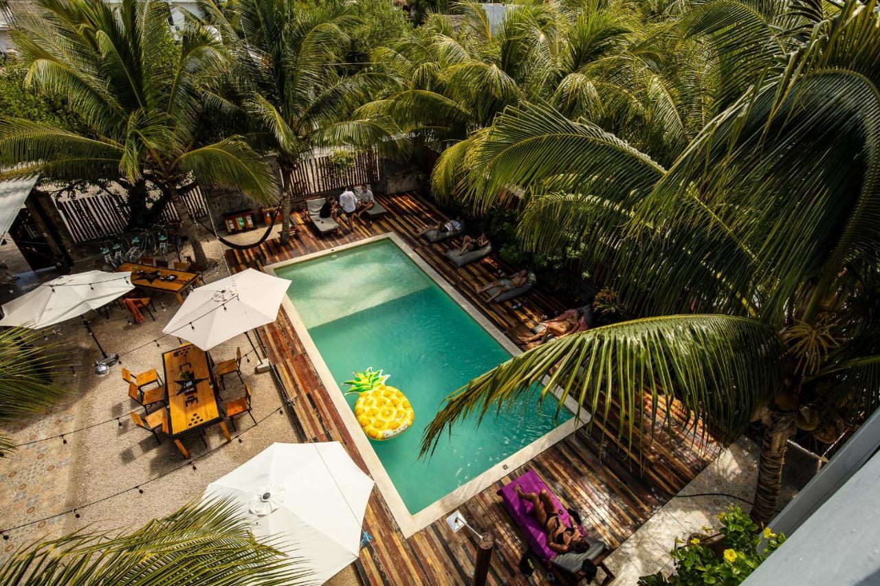 Che & Bar Adults Only * Isla Holbox